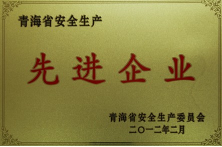 安全生產(chǎn)先進(jìn)企業(yè)