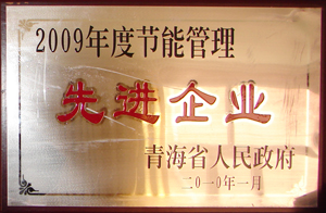 2009年度節(jié)能管理先進(jìn)企業(yè)