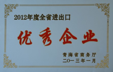 2012年度全身進(jìn)出口優(yōu)秀企業(yè)