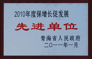 2010保增長促發(fā)展先進(jìn)單位